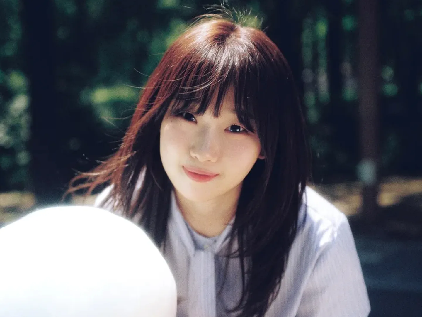 백아 (Baek A) 写真 1
