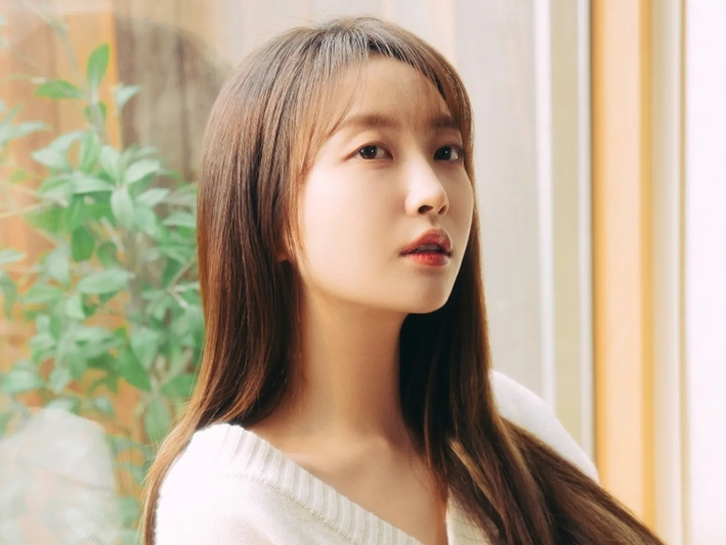 펀치 (Punch) 写真 1