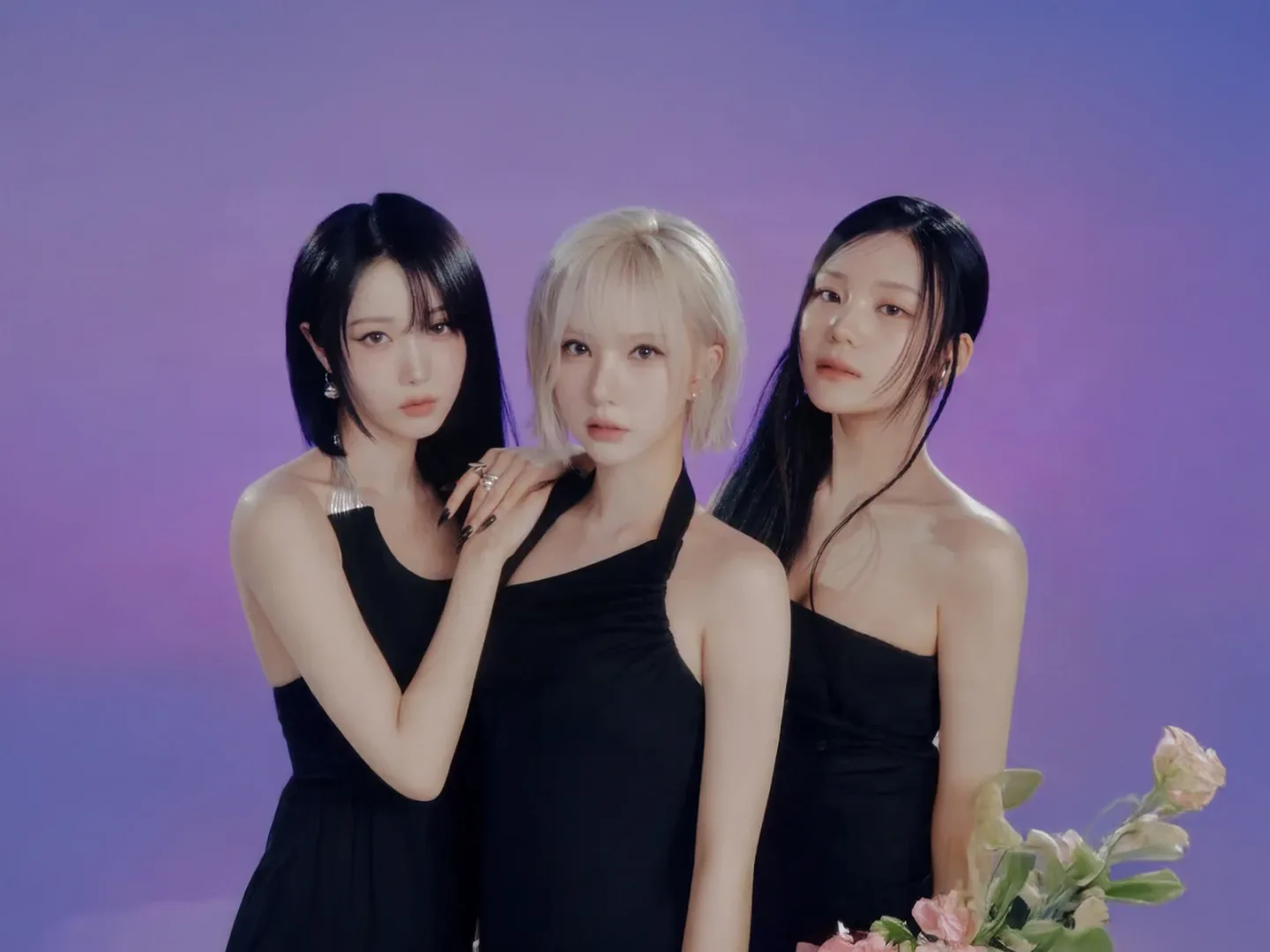 비비지 写真 1
